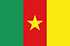 Drapeau du pays : Cameroun